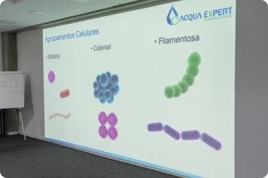 slides de apresentação